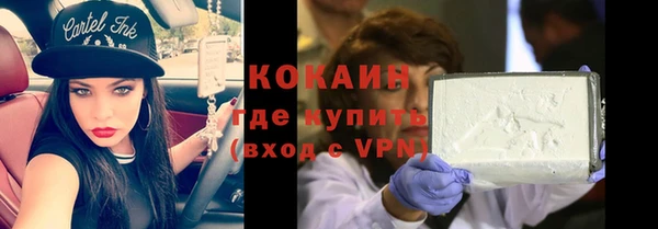 шишки Абаза