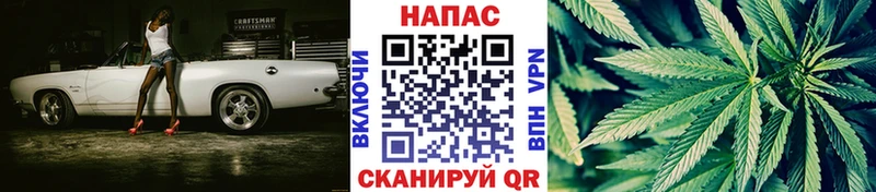 Канабис план  Шацк 